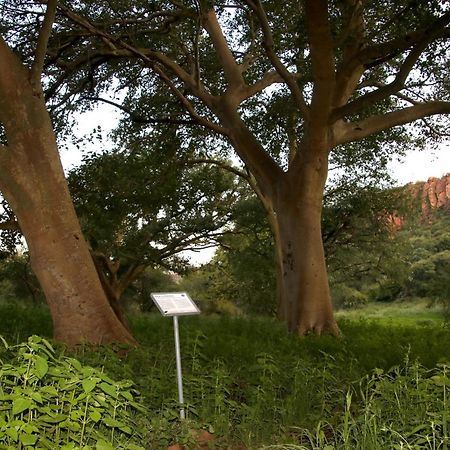 Waterberg Wilderness - One Namibia Villa Exteriör bild