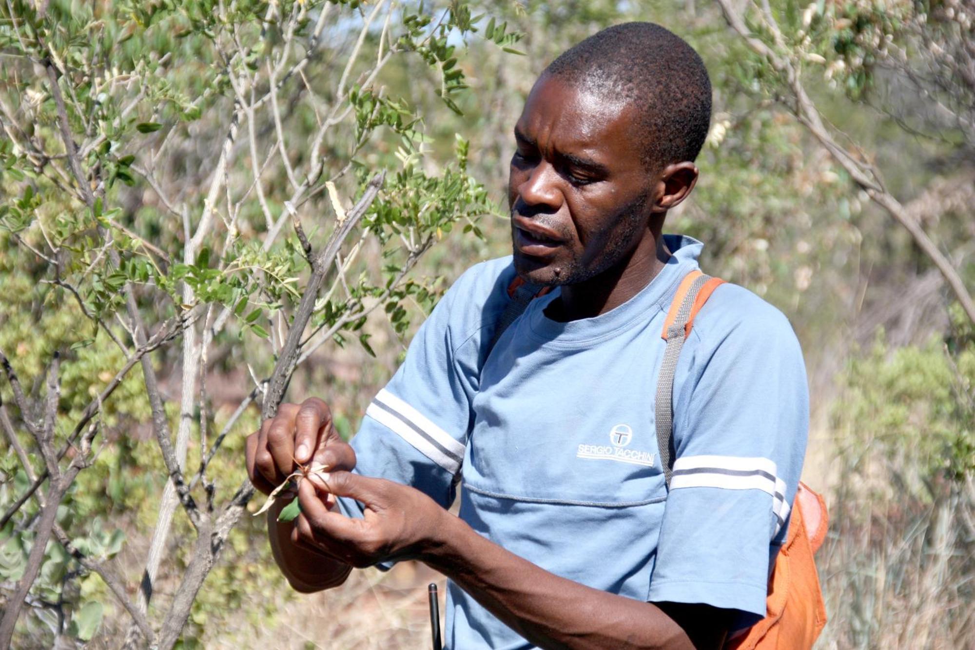 Waterberg Wilderness - One Namibia Villa Rum bild