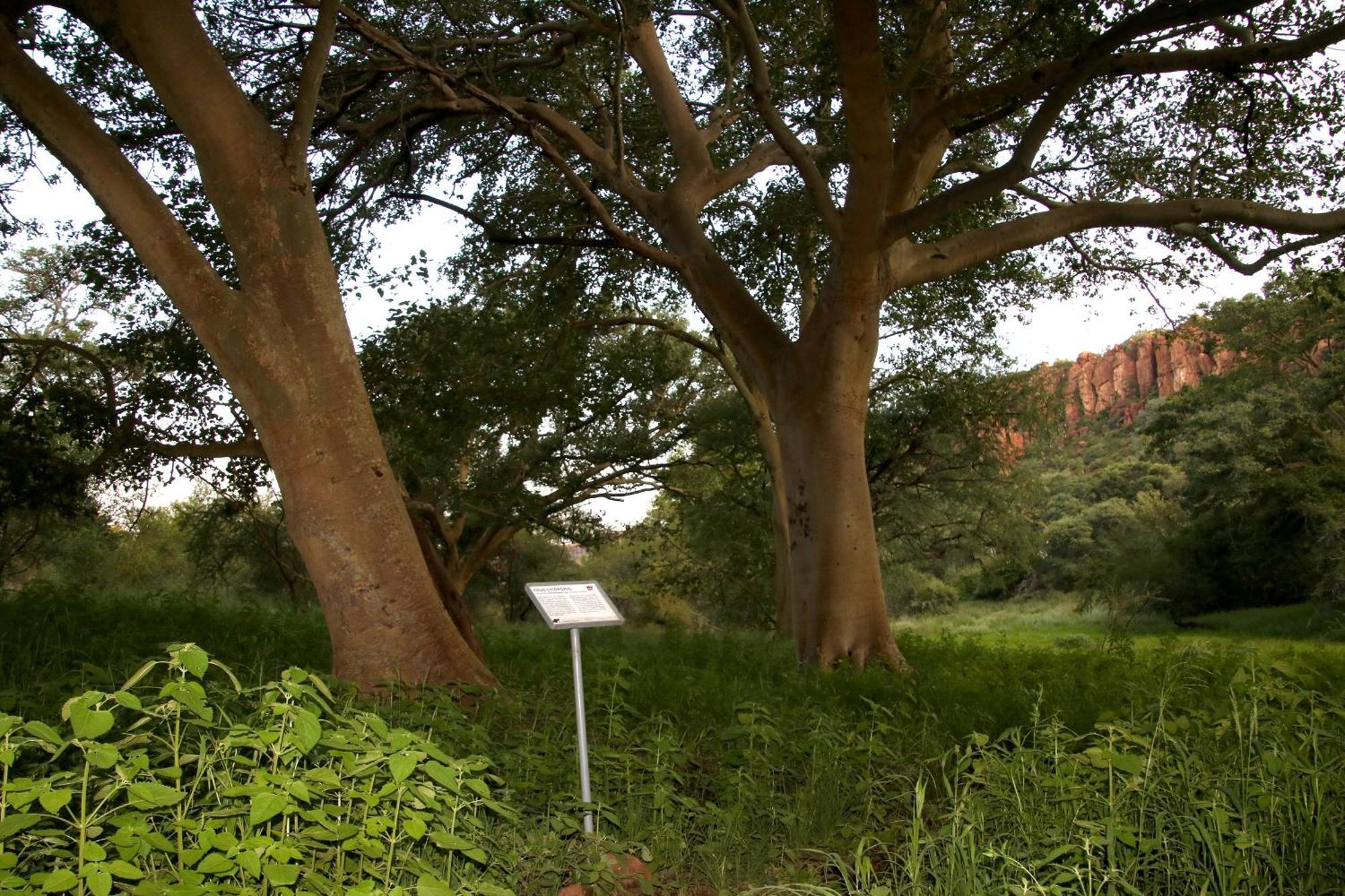 Waterberg Wilderness - One Namibia Villa Exteriör bild