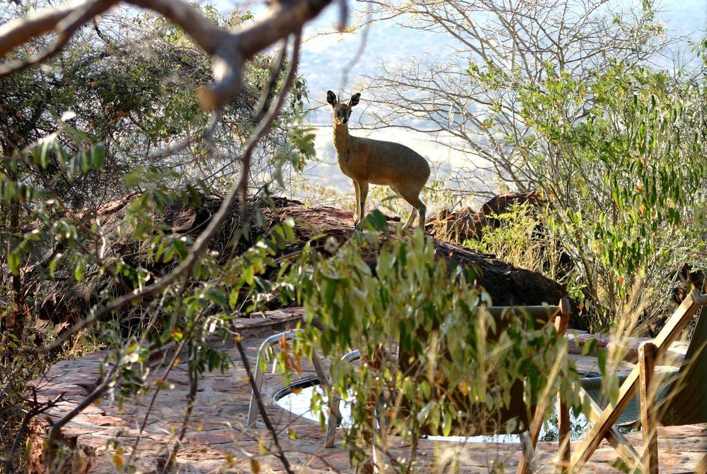 Waterberg Wilderness - One Namibia Villa Exteriör bild