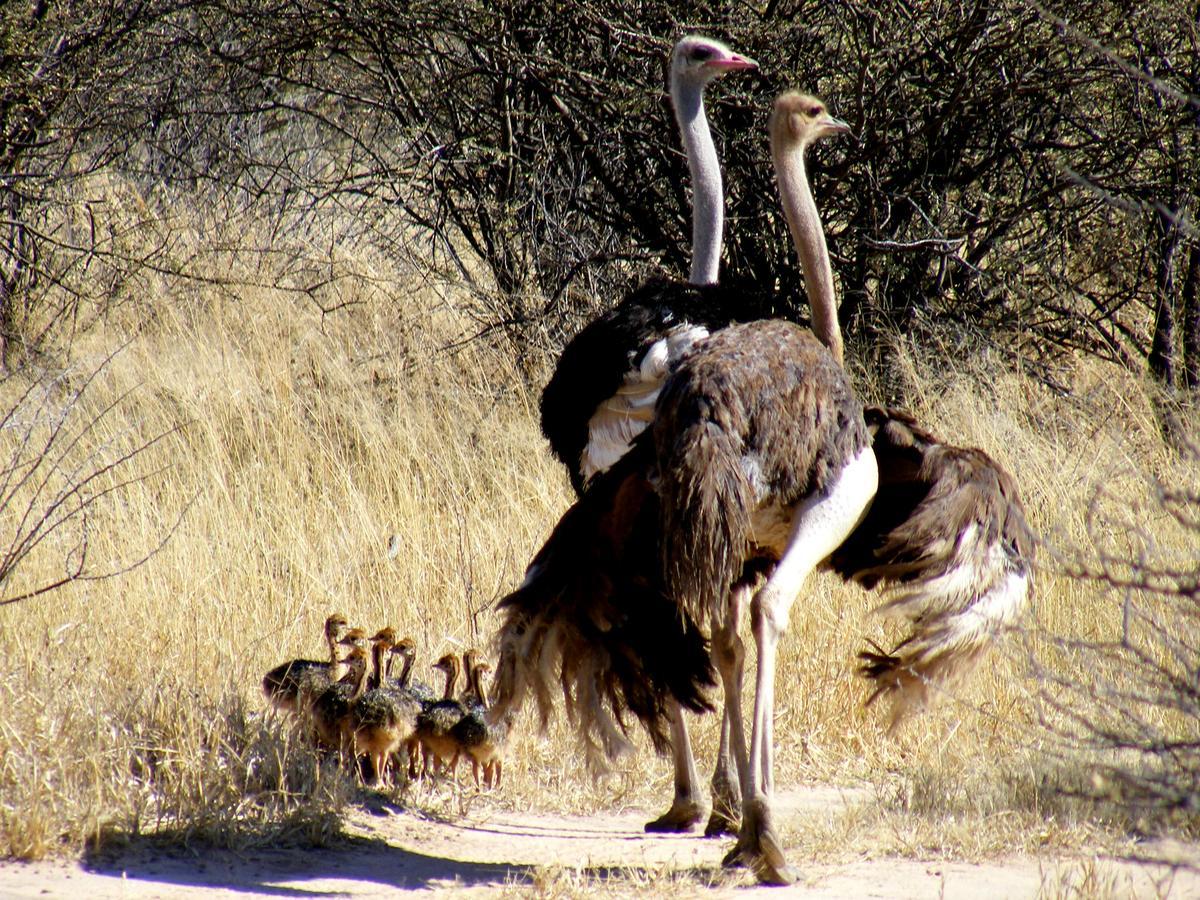 Waterberg Wilderness - One Namibia Villa Exteriör bild