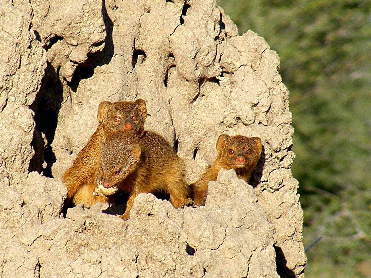 Waterberg Wilderness - One Namibia Villa Rum bild