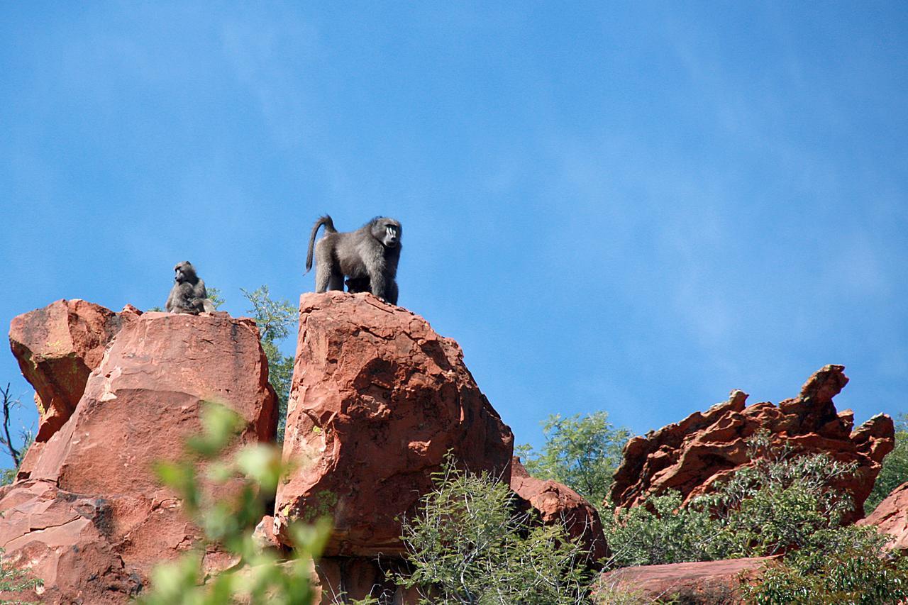 Waterberg Wilderness - One Namibia Villa Exteriör bild